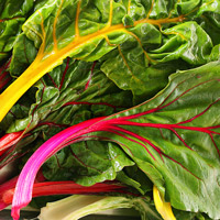SwissChard
